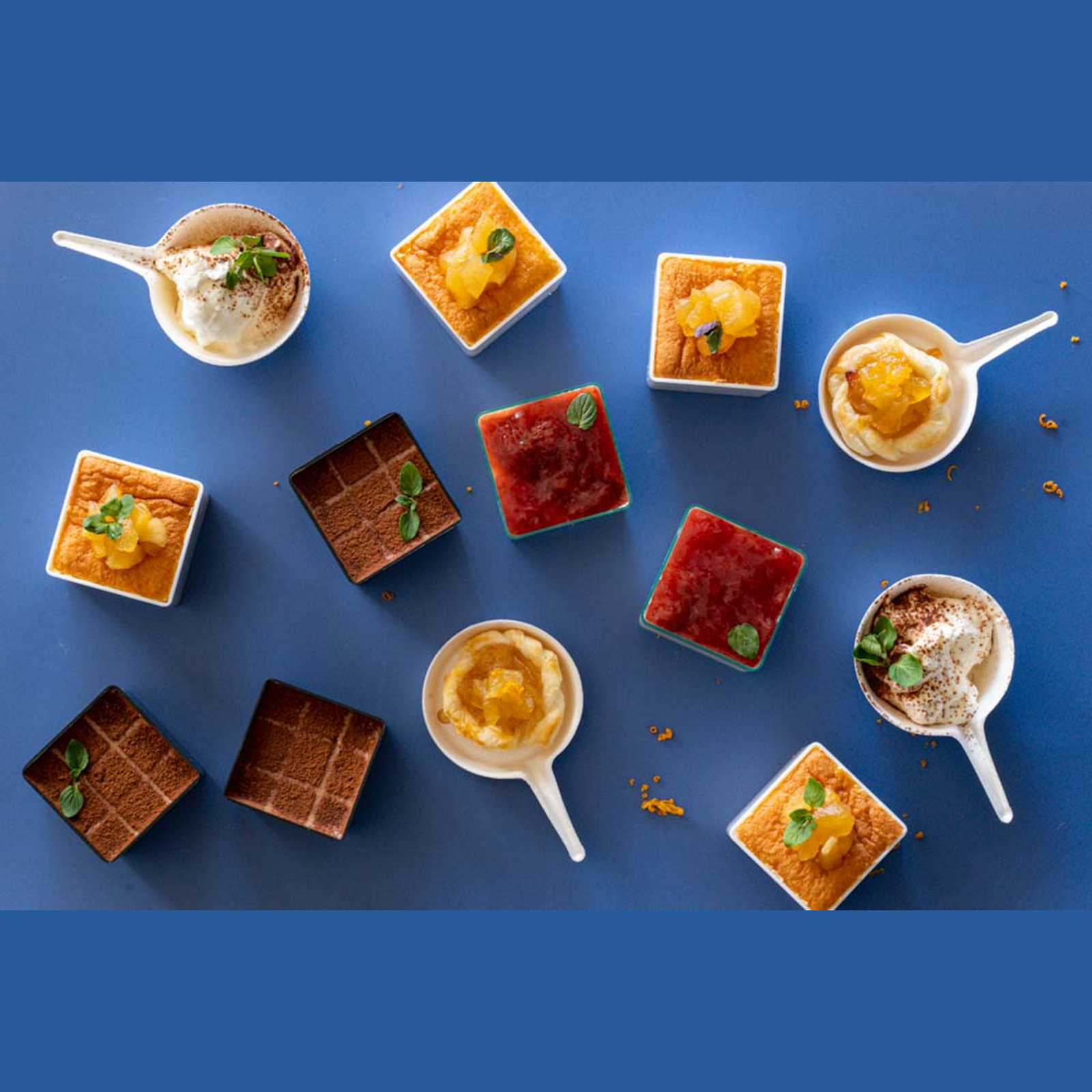 美しい盛り付けを演出 | フランスの洗練されたデザイン容器ソリア